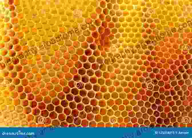 A Close Up Of A Honeycomb, Displaying The Hexagonal Cells And The Golden Honey Within. The Stunning Photographs: The Beauty Of Nature