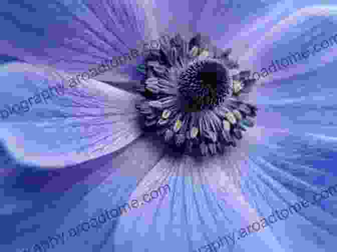 A Close Up Photograph Of A Flower, Revealing Intricate Details Of Its Petals And Pollen. Beyond Extreme Close Up Photography Julian Cremona