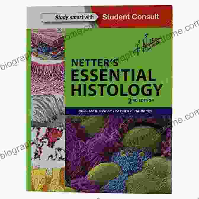 A Sample Illustration From Netter Essential Histology, Showcasing The Detailed Depiction Of A Cross Section Of The Human Heart. Netter S Essential Histology: With Correlated Histopathology (Netter Basic Science)