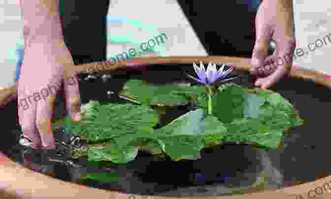 A Step By Step Guide To Growing Water Lilies Advances In Web Based Learning ICWL 2024 Workshops: USL 2024 IWSLL 2024 KMEL 2024 IWCWL 2024 WIL 2024 And IWEEC 2024 Kenting Taiwan October 6 9 Notes In Computer Science 8390)