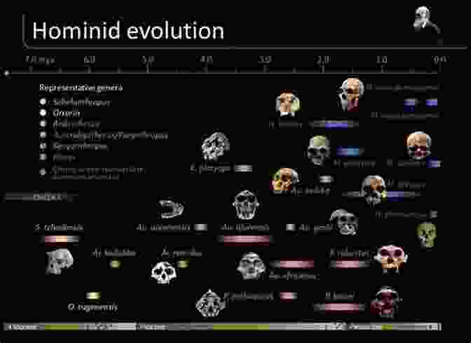 A Timeline Illustrating The Evolutionary Journey Of Humans, From Early Hominins To Modern Homo Sapiens. Life: The Leading Edge Of Evolutionary Biology Genetics Anthropology And Environmental Science (Best Of Edge Series)