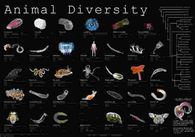 An Array Of Animals Representing The Diverse Range Of Species Found In The Animal Kingdom Encyclopedia Of Animal Science (Two Volume Set) (Dekker Agropedia Collection)