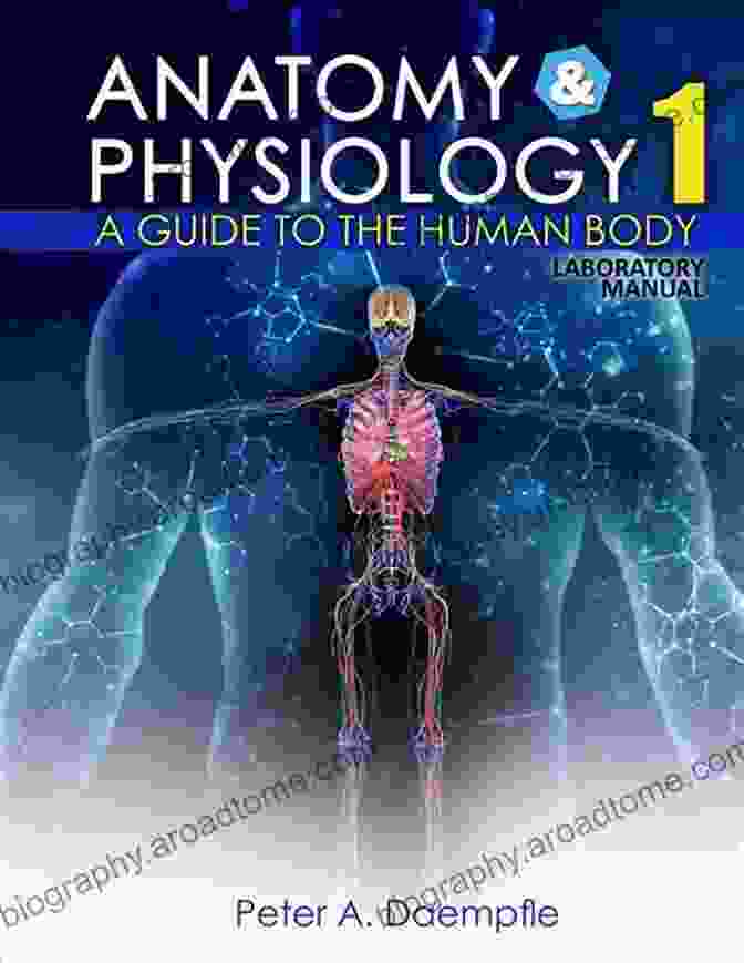 Anatomy And Physiology Of The Human Body Anatomy Physiology For Health Professions (2 Downloads): An Interactive Journey (Anatomy And Physiology For Health Professions)