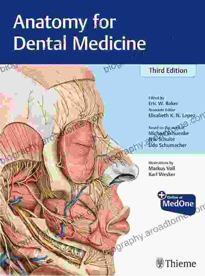 Anatomy For Dental Medicine: A Comprehensive Guide For Dental Professionals Anatomy For Dental Medicine