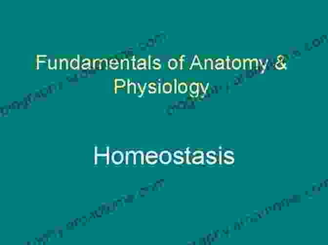 Balancing Act: Homeostasis Fundamentals Of Anatomy And Physiology: For Nursing And Healthcare Students