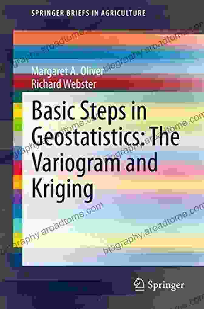 Basic Steps In Geostatistics Book Cover Basic Steps In Geostatistics: The Variogram And Kriging (SpringerBriefs In Agriculture)