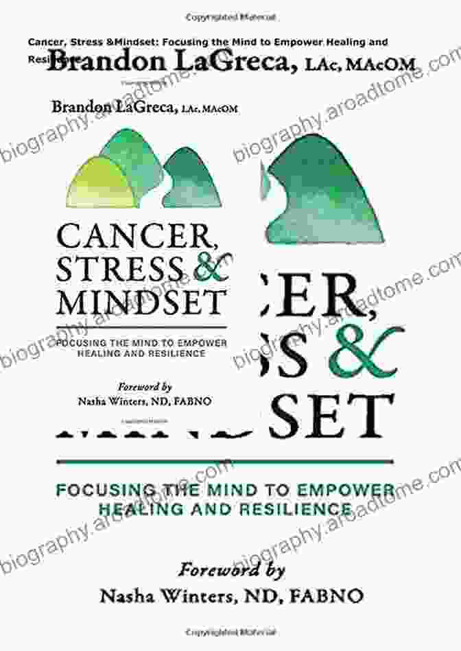 Book Cover Of Focusing The Mind To Empower Healing And Resilience Cancer Stress Mindset: Focusing The Mind To Empower Healing And Resilience