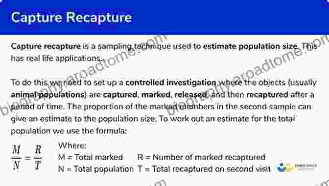 Capture Recapture Method Mathematical And Statistical Estimation Approaches In Epidemiology