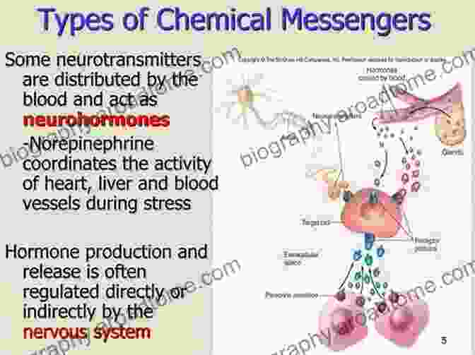 Chemical Messengers: The Endocrine System Fundamentals Of Anatomy And Physiology: For Nursing And Healthcare Students