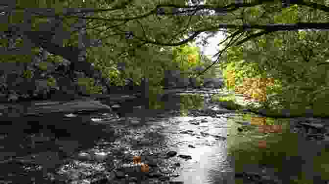 Cherokee Park, Louisville's Largest Olmsted Designed Park The Olmsted Parks Of Louisville: A Botanical Field Guide