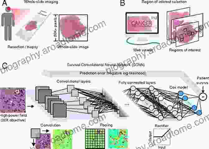 Computational Models Of Cancer Progression Computational Systems Biology: From Molecular Mechanisms To Disease