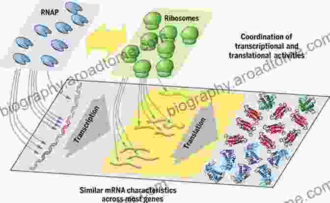 Computational Models Of Gene Regulation Computational Systems Biology: From Molecular Mechanisms To Disease