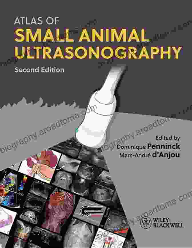 Cover Image Of Atlas Of Small Animal Ultrasonography Book Atlas Of Small Animal Ultrasonography