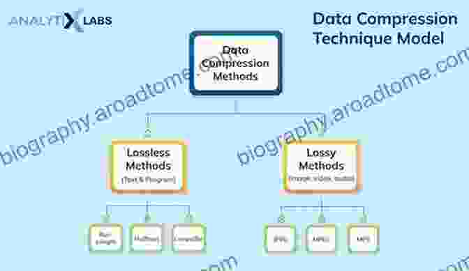 Data Compression Techniques Compressed Data Structures For Strings: On Searching And Extracting Strings From Compressed Textual Data (Atlantis Studies In Computing 4)