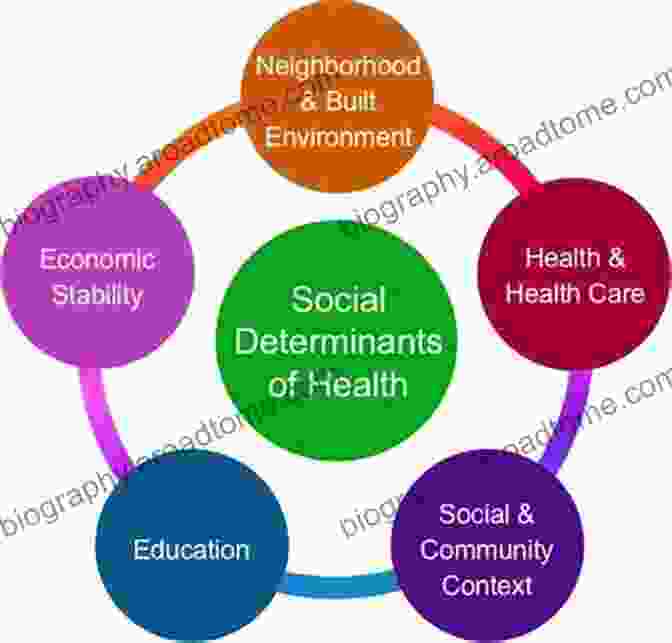 Diagram Illustrating The Interplay Of Social And Environmental Determinants Of Health In Accra, Ghana Spatial Inequalities: Health Poverty And Place In Accra Ghana (GeoJournal Library 110)