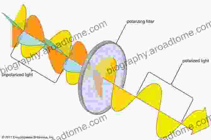 Diagram Illustrating The Polarization Of Light Waves To Polarization Physics (Lecture Notes In Physics 859)