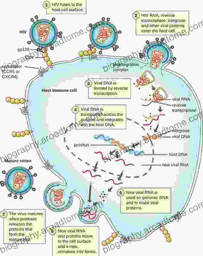 Diagram Of A Systems Biology Model Of Viral Pathogenesis, Showing Interactions Between Virus, Host Cells, And The Immune System Viral Pathogenesis: From Basics To Systems Biology