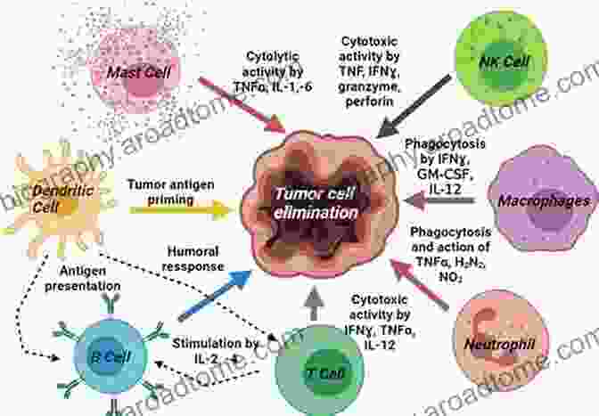 Diagram Of Immunotherapy Approach In Cancer Treatment Cancer Genome And Tumor Microenvironment (Cancer Genetics)