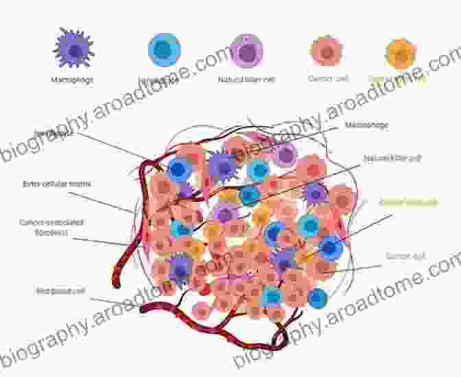 Diagram Of Tumor Microenvironment Showing Interactions Between Tumor Cells And Other Components Cancer Genome And Tumor Microenvironment (Cancer Genetics)