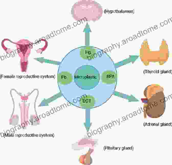 Effects Of Endocrine Disruptors On Puberty Endocrine Disruptors And Puberty (Contemporary Endocrinology)