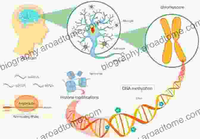 Epigenetic Therapeutics Epigenetics In Human Disease (Translational Epigenetics 6)