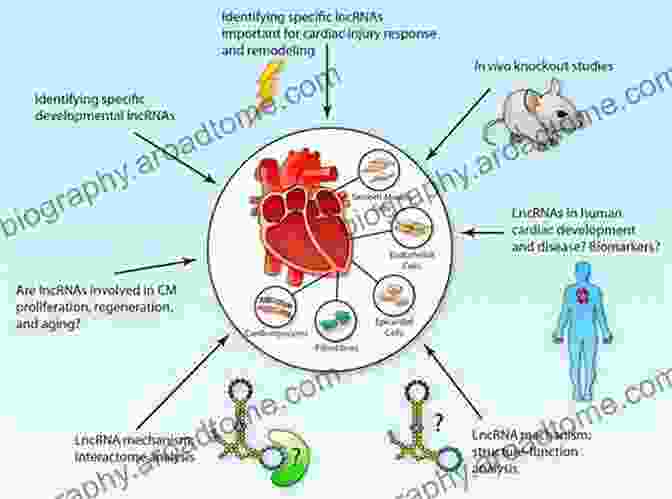 Epigenetics In Cardiovascular Disease Epigenetics In Human Disease (Translational Epigenetics 6)