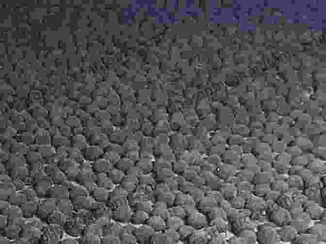 Extraction Of Metals From The Indian Ocean Nodule Field The Indian Ocean Nodule Field: Geology And Resource Potential