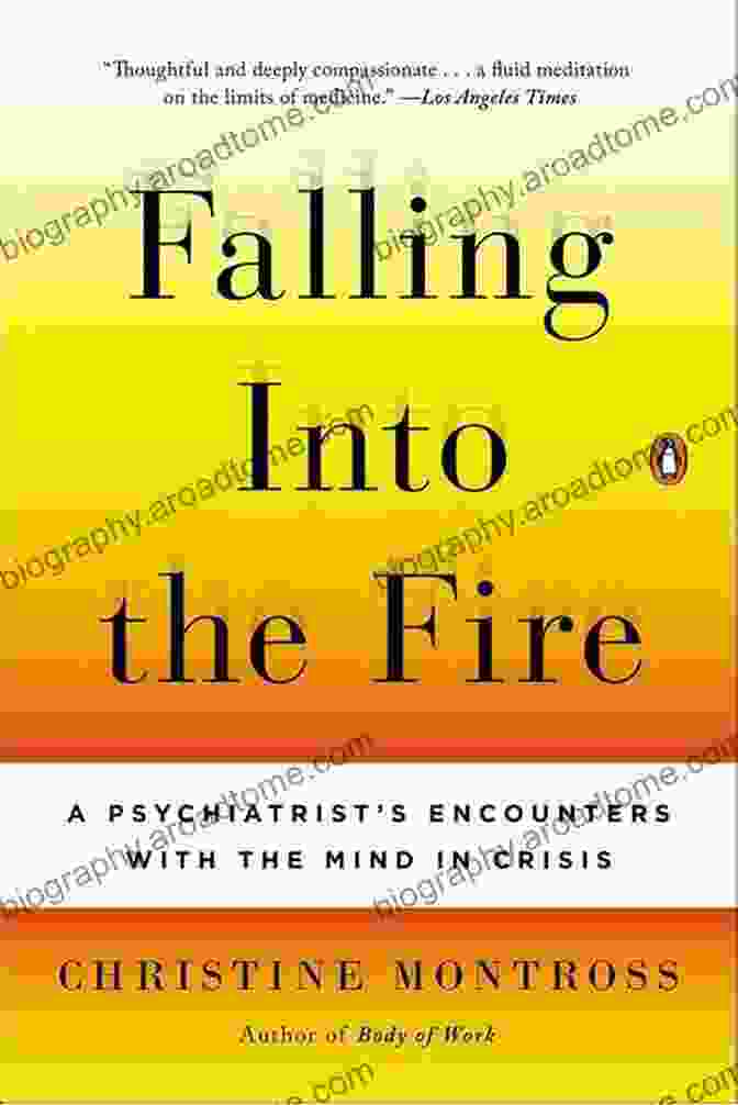 Falling Into The Fire Book Cover Falling Into The Fire: A Psychiatrist S Encounters With The Mind In Crisis