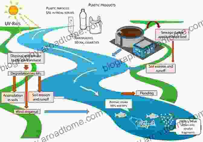 Fate And Transport Of Chlorpyrifos In Terrestrial And Aquatic Ecosystems Ecological Risk Assessment For Chlorpyrifos In Terrestrial And Aquatic Systems In The United States (Reviews Of Environmental Contamination And Toxicology 231)