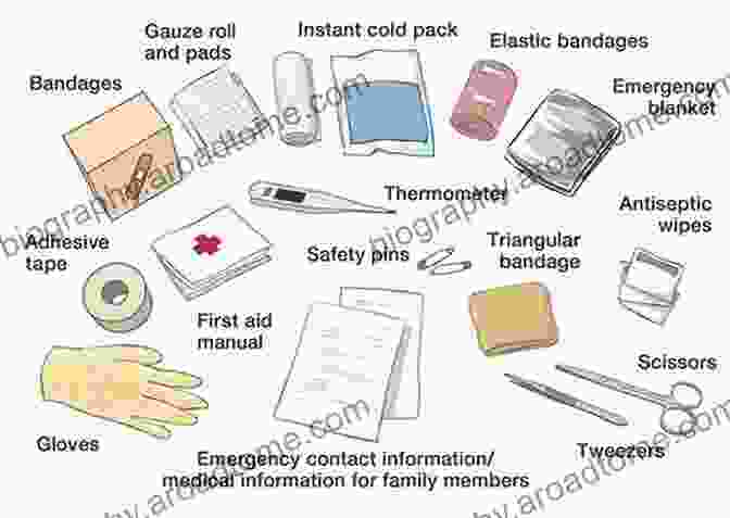 First Aid Kit With Bandages, Gauze, Antiseptic, And Other Essential Supplies Emergency First Aid Fundamentals Michael Martin