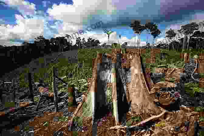 Image Of A Deforested Area Biosphere Origin And Evolution