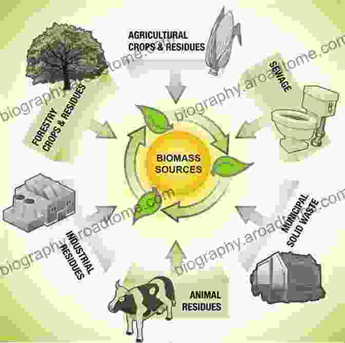 Infographic Depicting The Process Of Converting Plant Biomass Into Various Forms Of Renewable Energy, Including Bioelectricity, Biofuel, And Biogas. Phytoremediation For Green Energy