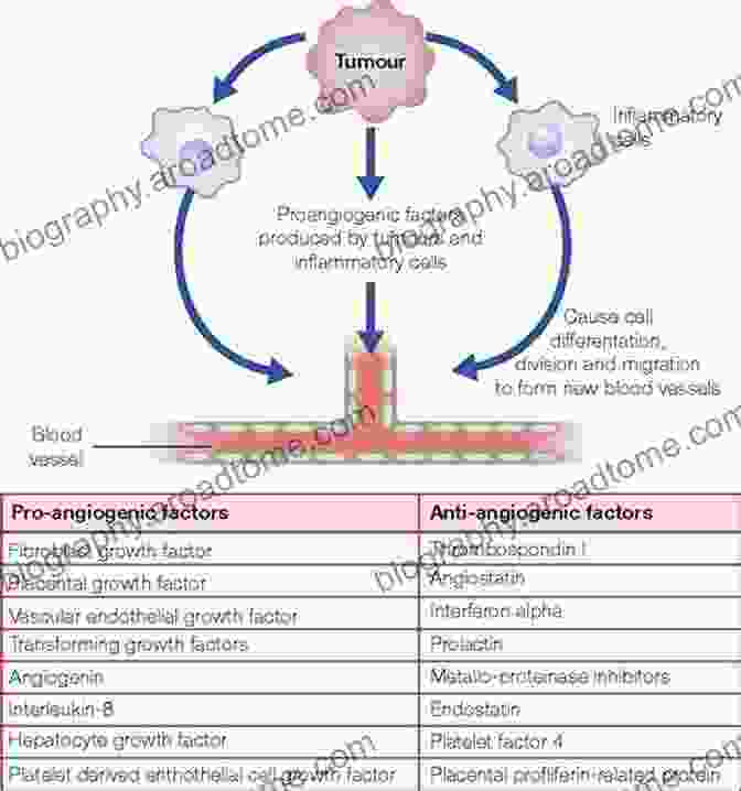 Mechanisms Of Action Of Anticancer Drugs Chemistry And Pharmacology Of Anticancer Drugs