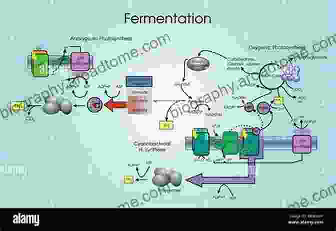 Microbial Fermentation Converts Fermentable Sugars Into Ethanol. Lignocellulose Conversion: Enzymatic And Microbial Tools For Bioethanol Production