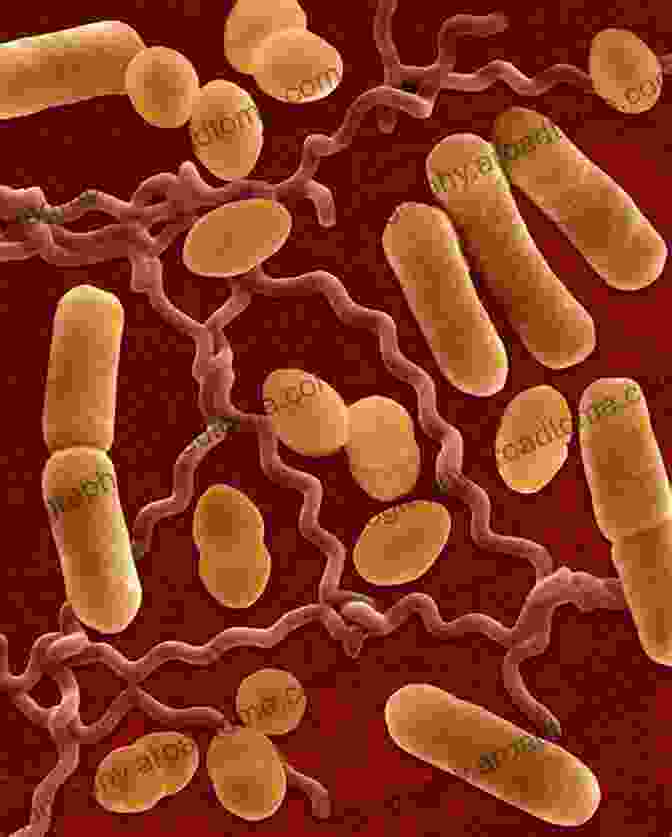 Microscopic Image Of Bacteria, The Silent Threat To Human Health. Bacterial Infections Of Humans: Epidemiology And Control