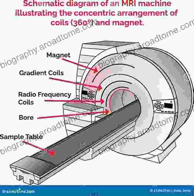 MRI Diagram Showing Different Components And Techniques Review Questions For MRI