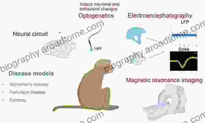 Nonhuman Primate Disease Model For Parkinson's Disease Nonhuman Primates In Biomedical Research: Biology And Management (American College Of Laboratory Animal Medicine 1)