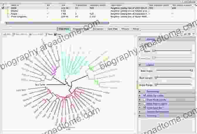 Phylogenetic Analysis Software Tools The Phylogenetic Handbook: A Practical Approach To Phylogenetic Analysis And Hypothesis Testing