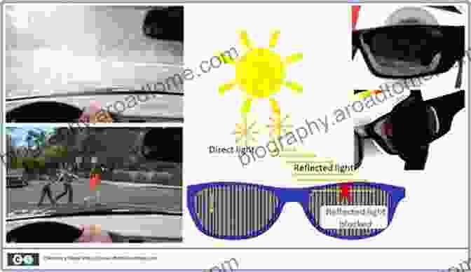 Polarizing Sunglasses Reducing Glare In Sunlight To Polarization Physics (Lecture Notes In Physics 859)