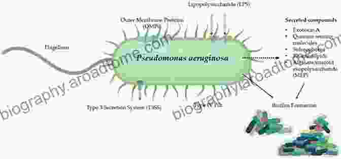 Pseudomonas In Medical Research Pseudomonas: Volume 7: New Aspects Of Pseudomonas Biology