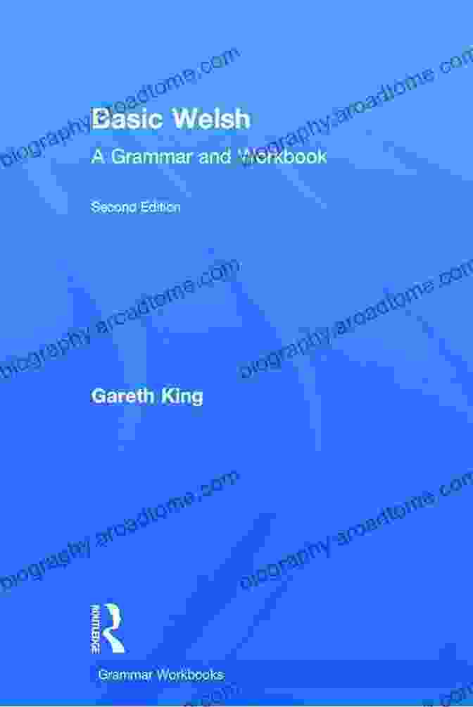 Routledge Grammar And Workbook Basic Welsh: A Grammar And Workbook (Routledge Grammar Workbooks)