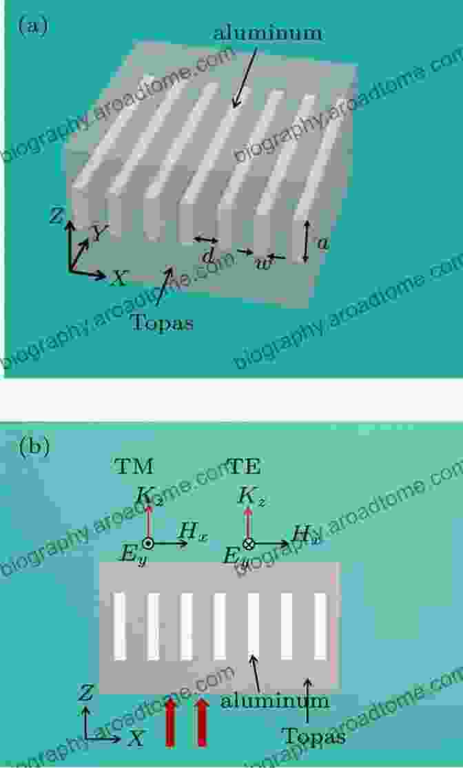 Schematic Of A Metamaterial Device For Polarization Manipulation To Polarization Physics (Lecture Notes In Physics 859)