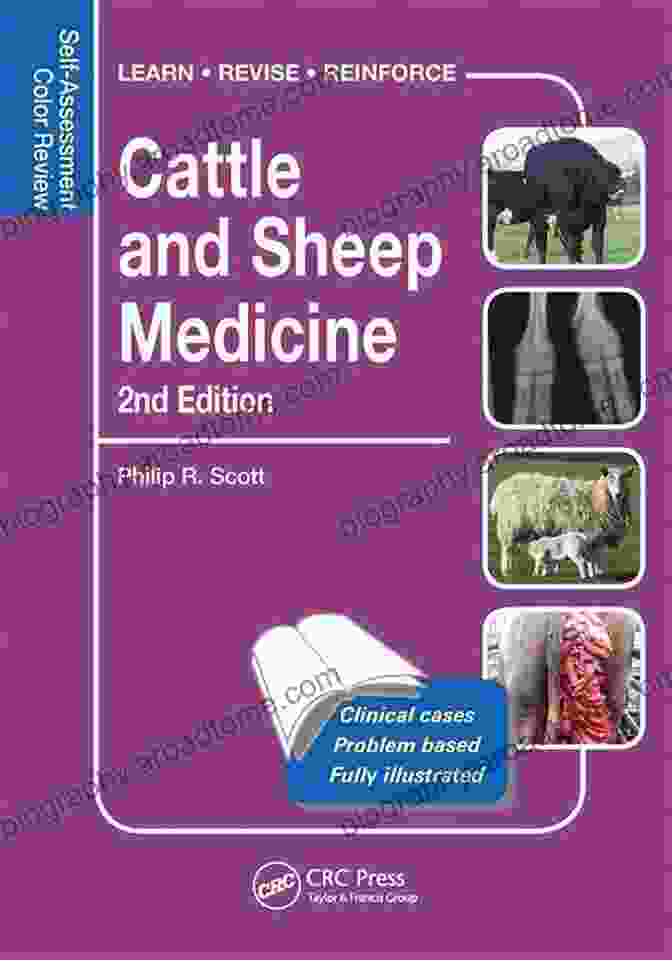 Self Assessment Color Review, Second Edition Avian Medicine And Surgery: Self Assessment Color Review Second Edition (Veterinary Self Assessment Color Review Series)