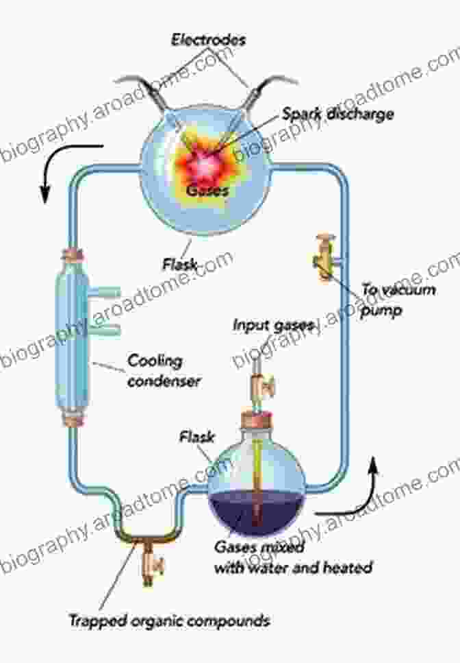 Simulation Of The Primordial Soup Experiment Biosphere Origin And Evolution