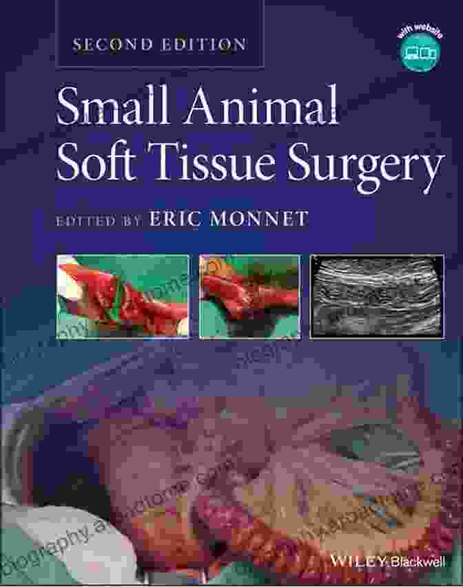 Small Animal Soft Tissue Surgery Book Cover Small Animal Soft Tissue Surgery: Self Assessment Color Review Second Edition (Veterinary Self Assessment Color Review Series)