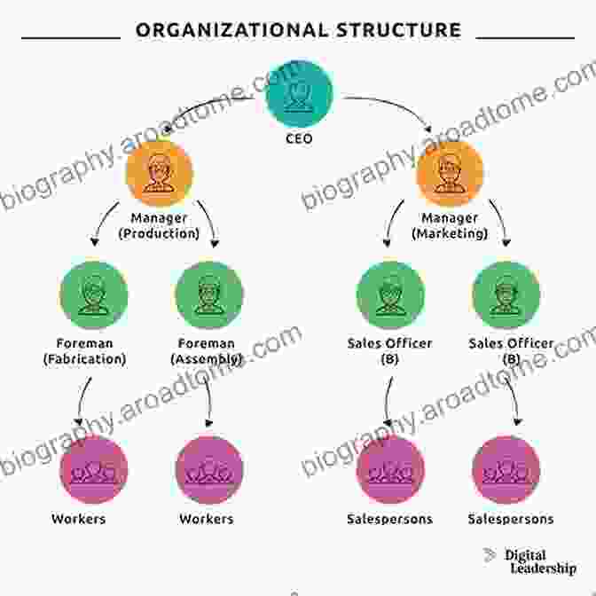 Understanding Business Organization Structures Insurance Law: A Guide To Fundamental Principles Legal Doctrines And Commercial Practices (Hornbooks)