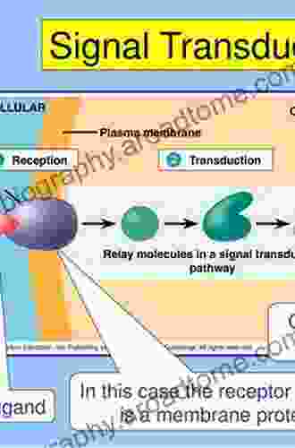 Cellular Signal Processing: An Introduction To The Molecular Mechanisms Of Signal Transduction