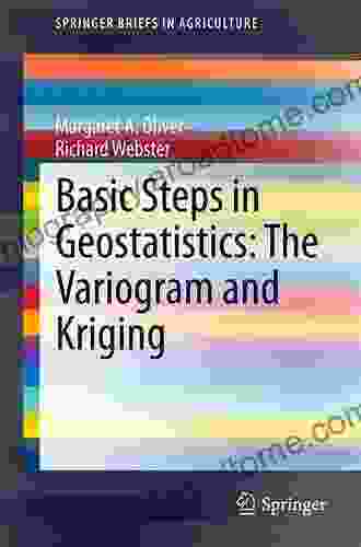 Basic Steps In Geostatistics: The Variogram And Kriging (SpringerBriefs In Agriculture)