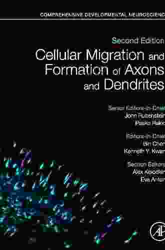 Cellular Migration And Formation Of Axons And Dendrites: Comprehensive Developmental Neuroscience