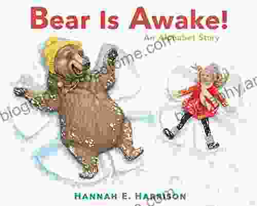 Bear Is Awake : An Alphabet Story